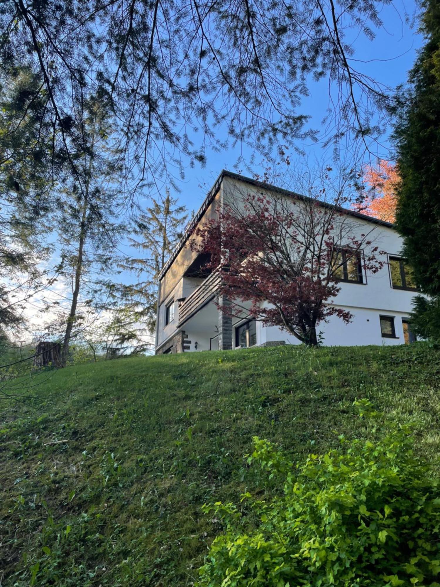 Talblick Chalet Blankenheim Blankenheim  Buitenkant foto